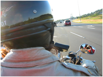 Penney's 2004 Heritage Softail Classic